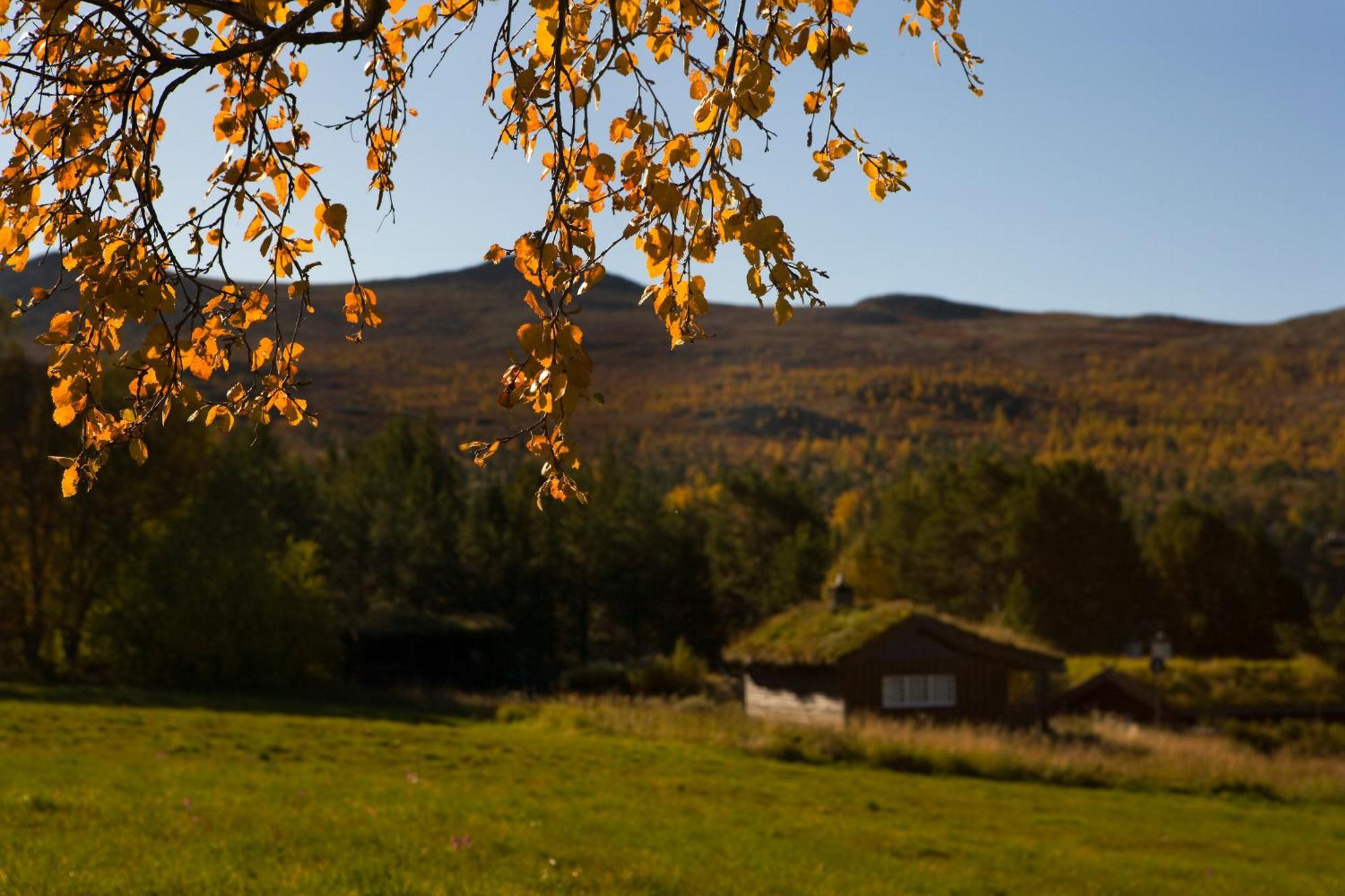 Oigardseter Fjellstue Otel Høvringen Dış mekan fotoğraf
