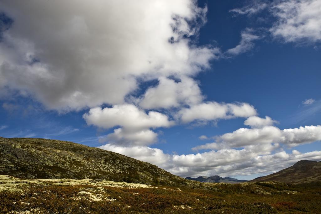 Oigardseter Fjellstue Otel Høvringen Dış mekan fotoğraf